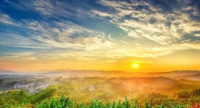 项目进度云 - 麻豆影视 - 云端项目进度实时查询系统